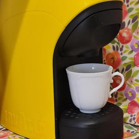 Jolegre All'opera Rome